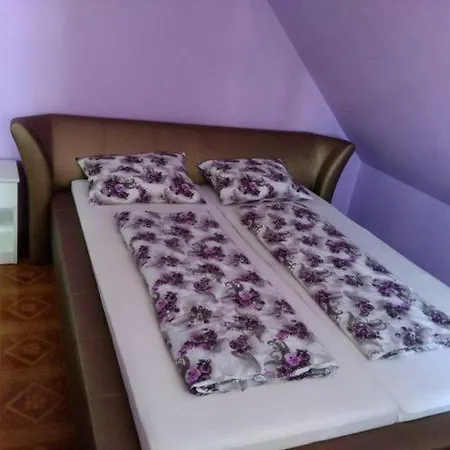 Apartment Jakab Vendeghaz