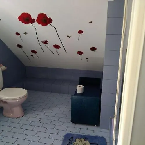 Jakab Vendeghaz באלאטונפורד